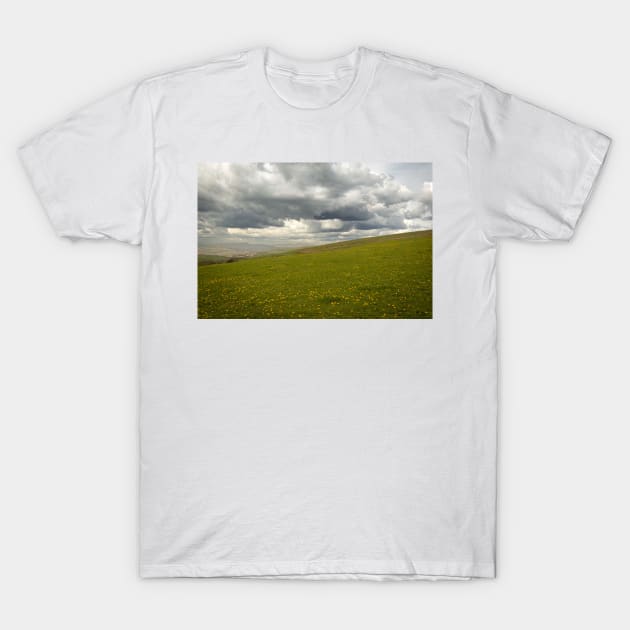 Wet Summers & Valley Hills - 2014 T-Shirt by SimplyMrHill